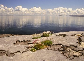 Reflect on the beauty of Burren Geo Park at Monks Ballyvaughan Seafood Restaurant & Bar.