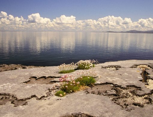 Reflect on the beauty of Burren Geo Park at Monks Ballyvaughan Seafood Restaurant & Bar.