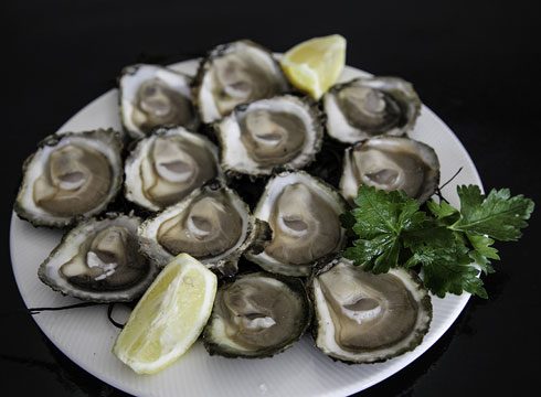 Oysters... at Monks Ballyvaughan Seafood Restaurant & Bar on the Wild Atlantic Way